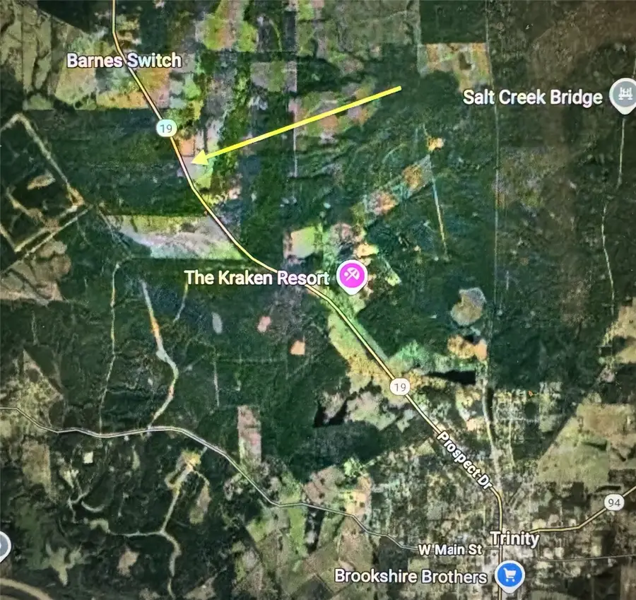 4109 N State Highway 19, Trinity, TX 75862 - Image #2