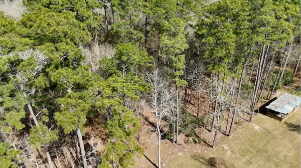 0 Cheatham Road, Houston, TX 77336