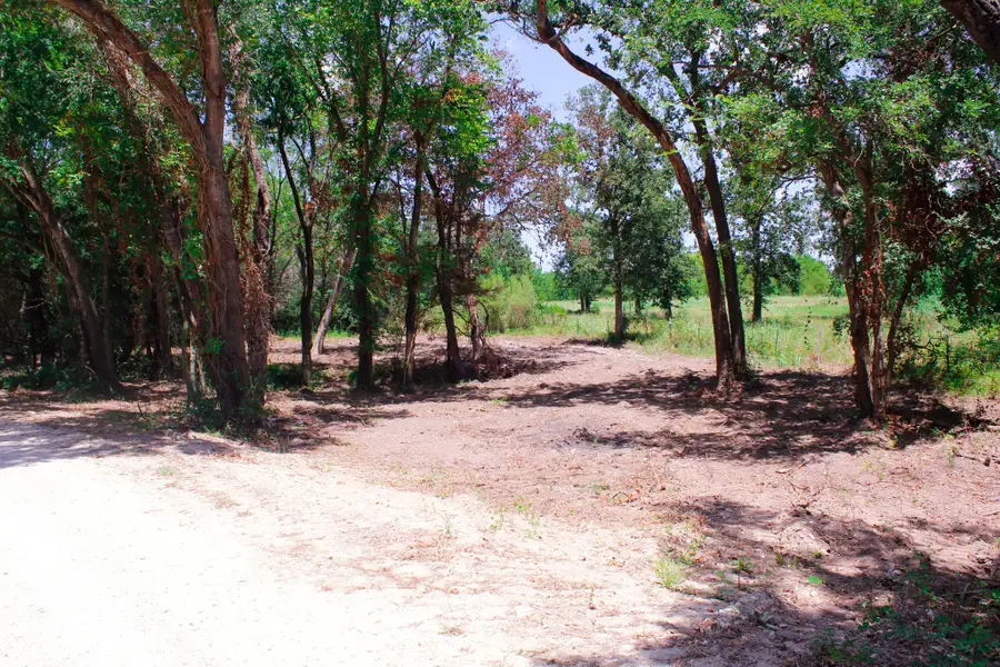 1.5+/- Acres Greenbriar Road, Madisonville, TX 77864 - #3
