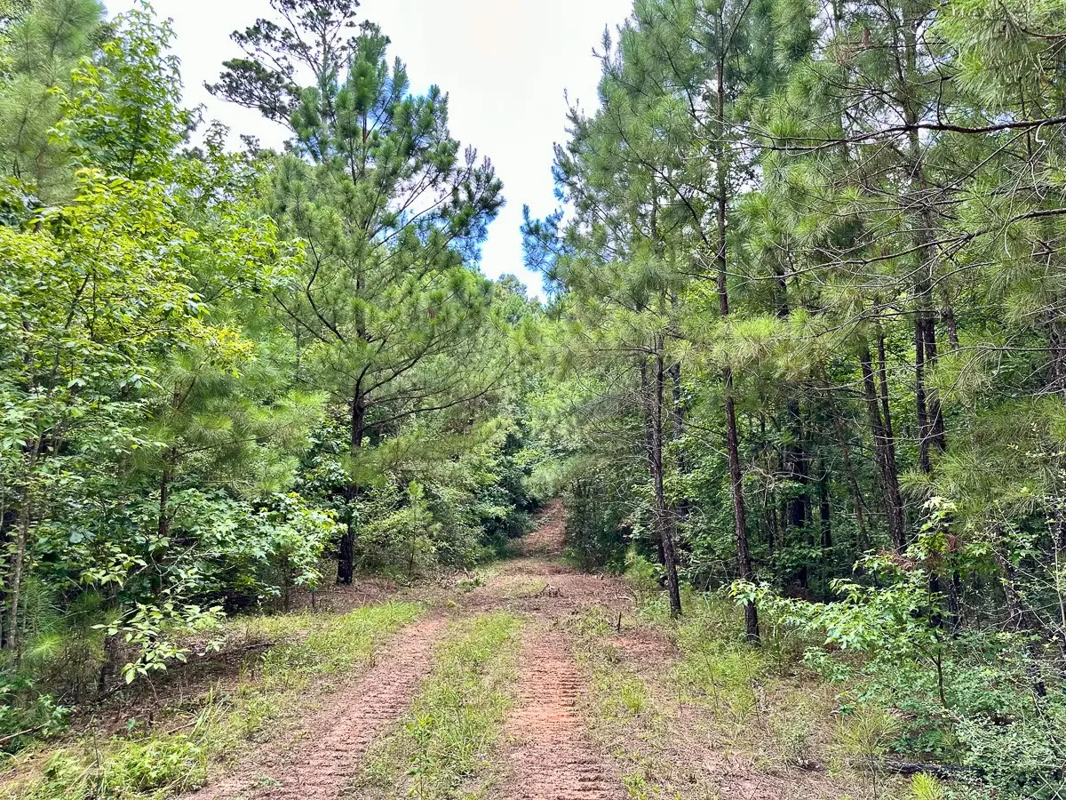 00 Cr 2065, Crockett, TX 75835 - #1