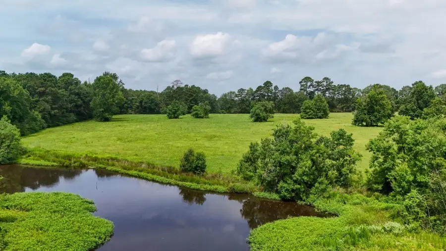 0004 County Road 2780, Woodville, TX 75979 - #2