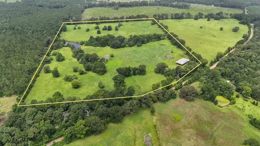 0004 County Road 2780, Woodville, TX 75979 - #3