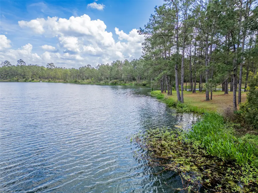 4473 Holly Trail Road, Montgomery, TX 77316 - #2