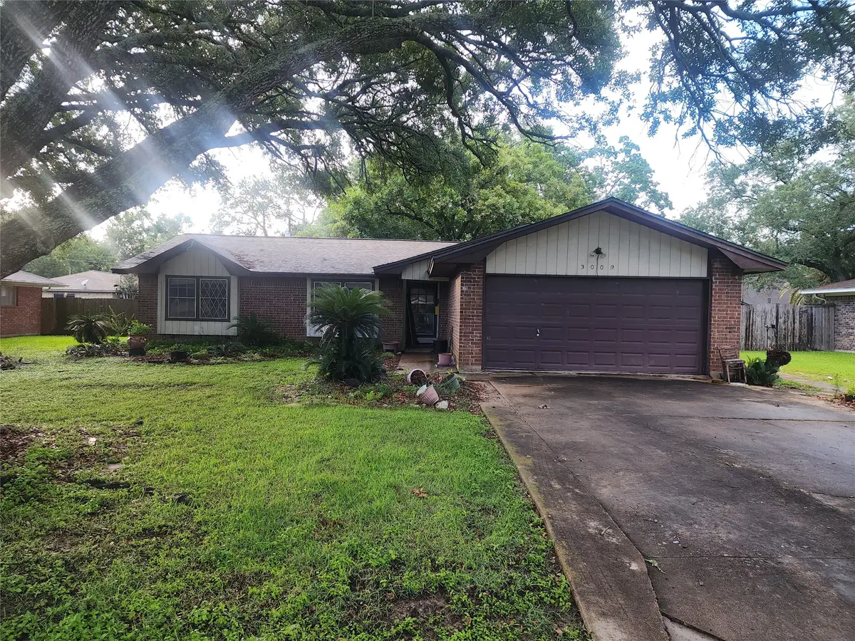 3009 Del Monte Avenue, Bay City, TX 77414 - #1