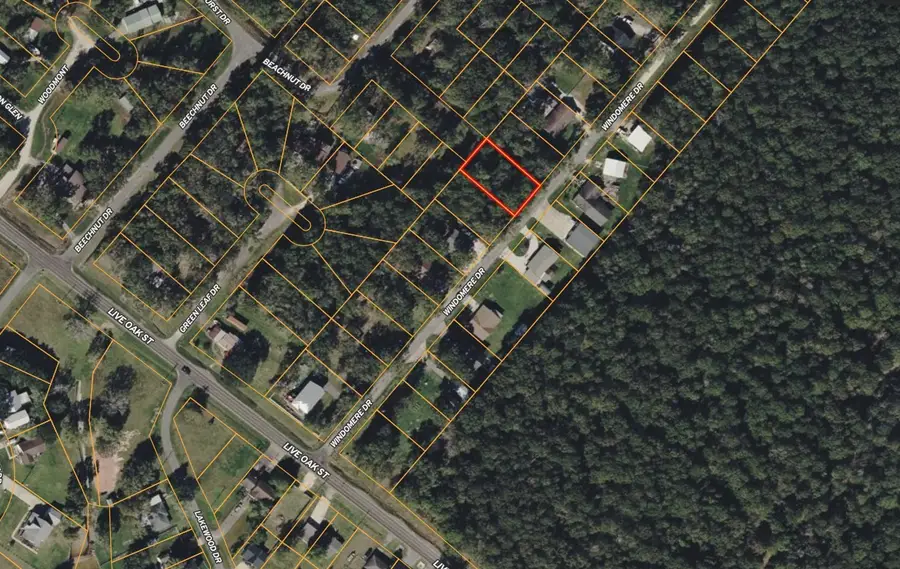 Lot 38 Windomere Drive, Livingston, TX 77351 - #3