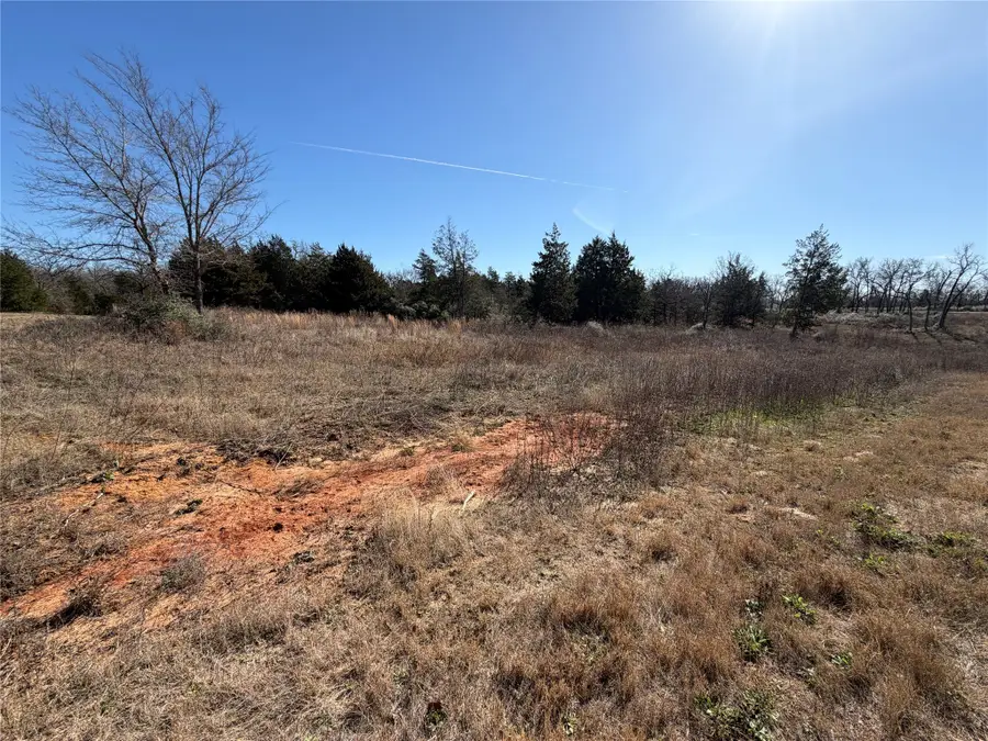Lot 20 Cr 389, Jewett, TX 75846 - Image #3
