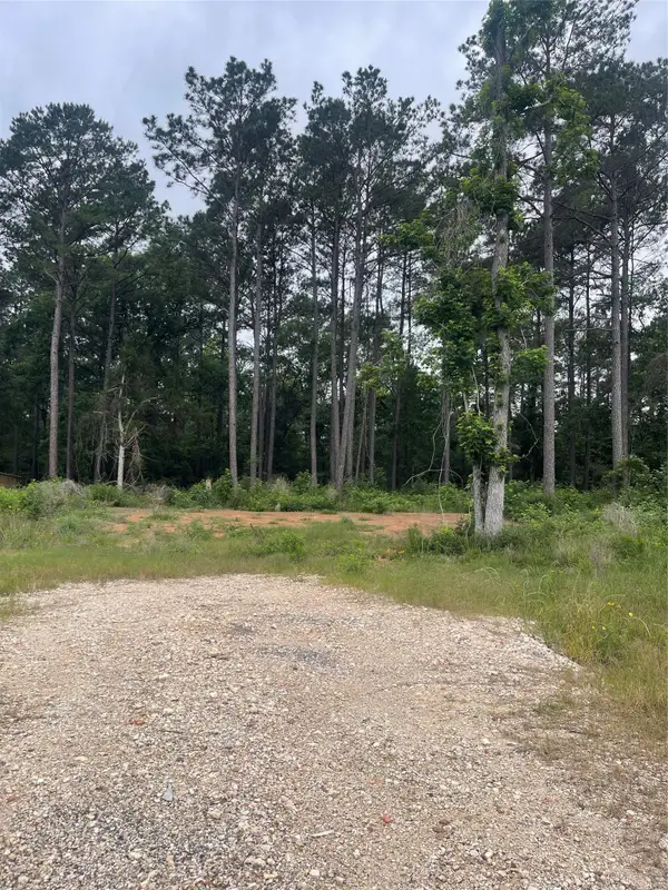 11338 Annie Creek Drive, Willis, TX 77378