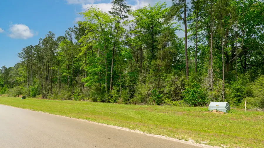 10627 Ruger Road, Willis, TX 77378 - #3