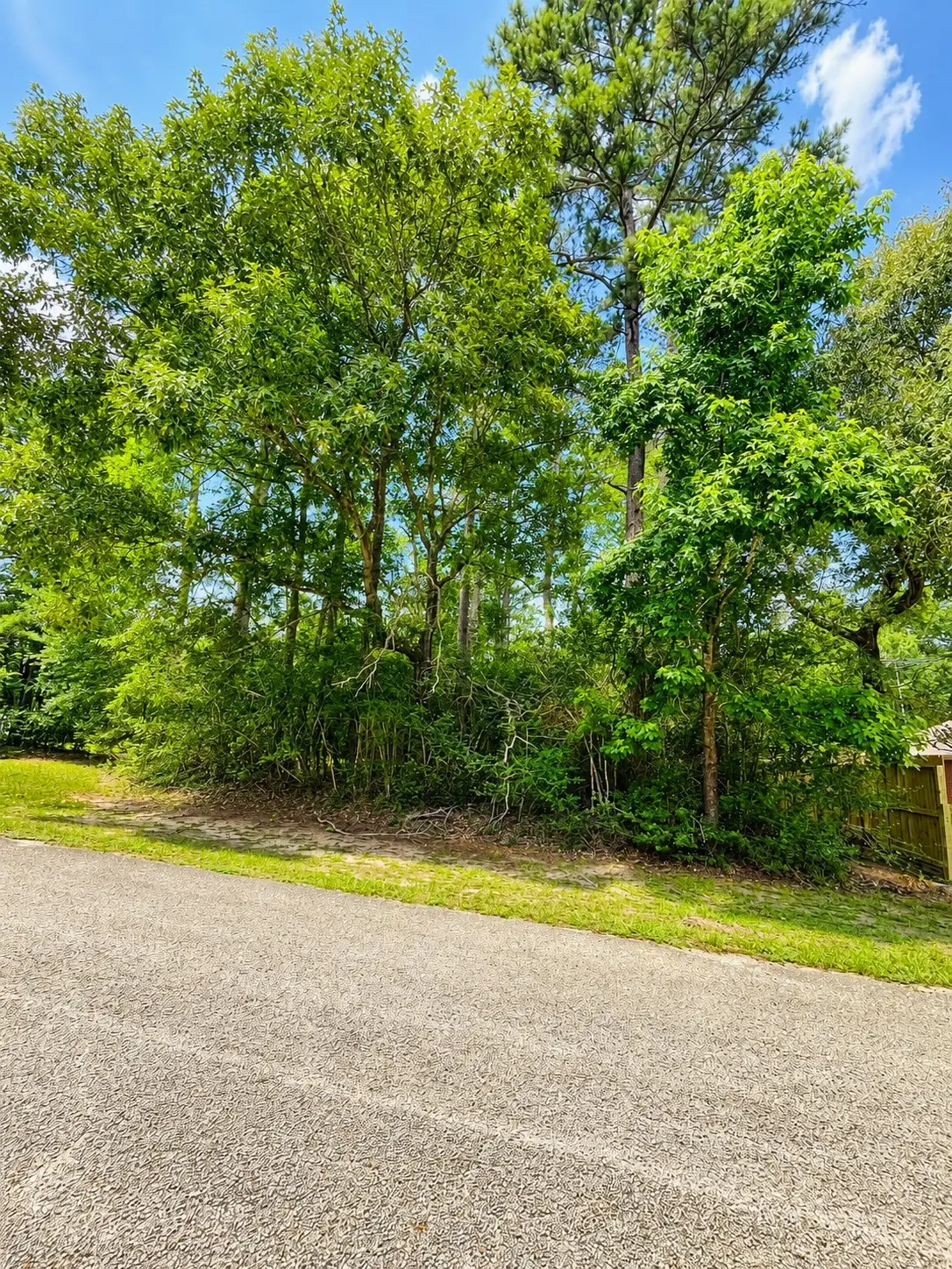 0 Ridgecrest, Magnolia, TX 77354 - #1