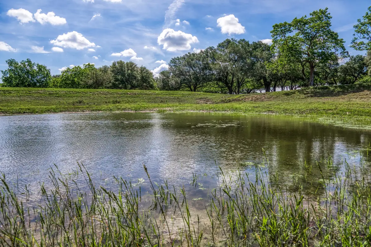 Tract 1 - 8145 Fm 390 E, Brenham, TX 77833 - #1