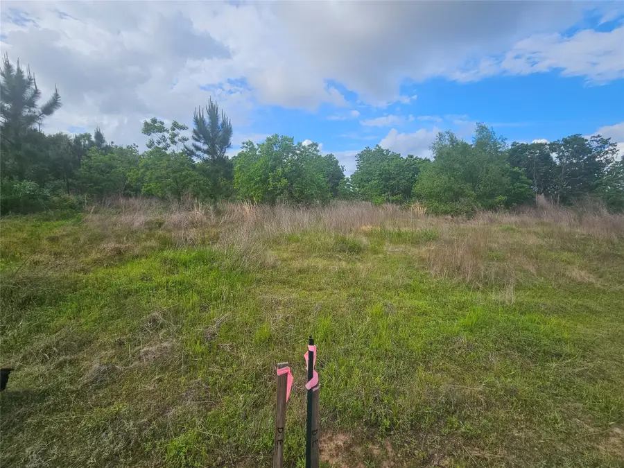 4024 Road 5835, Cleveland, TX 77327 - #2