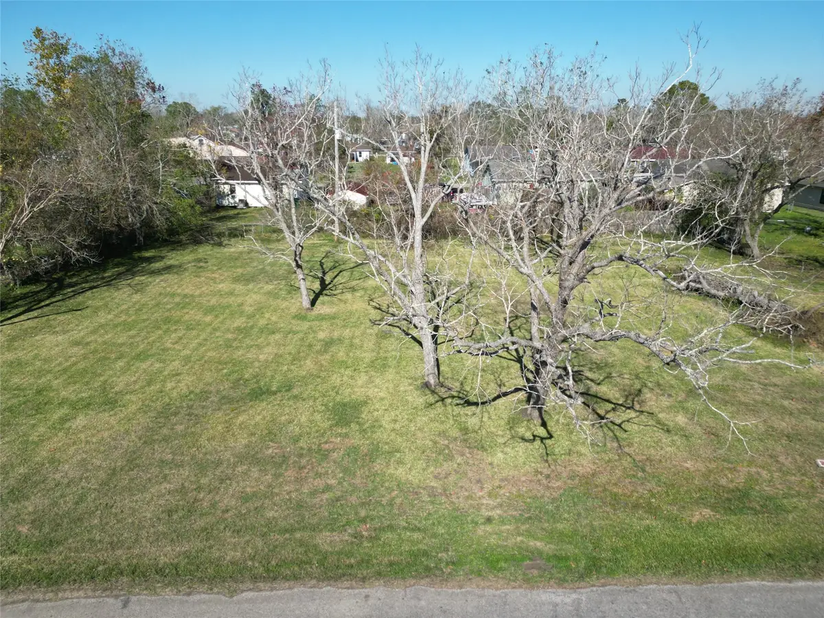 409 Carlton Street, Brazoria, TX 77422 - #1
