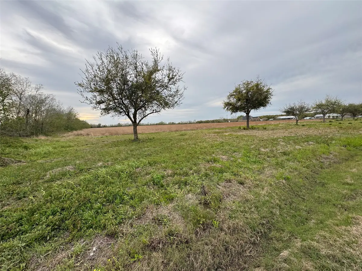 02 County Road 46, Danbury, TX 77534 - #1
