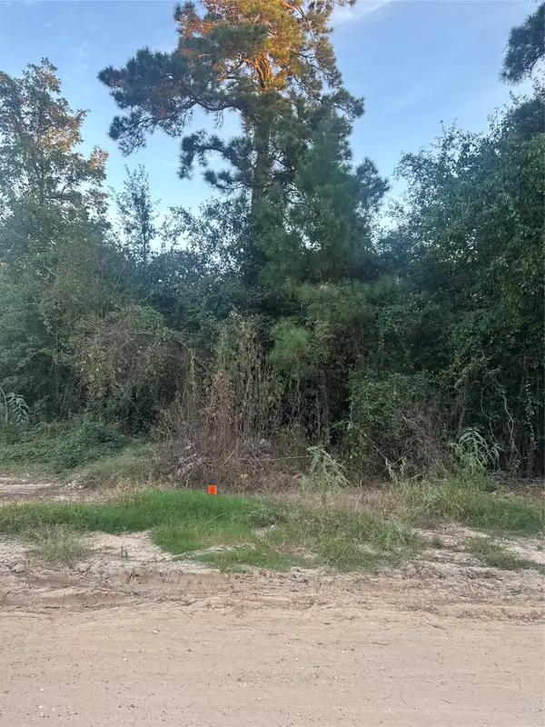 19687 Pine Haven, Conroe, TX 77385