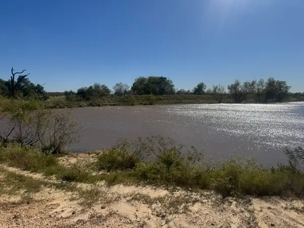 163 ac Pine Tree Road, Hearne, TX 77859