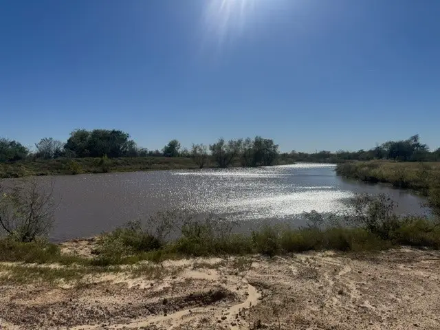 163 ac Pine Tree Road, Hearne, TX 77859 - Image #3