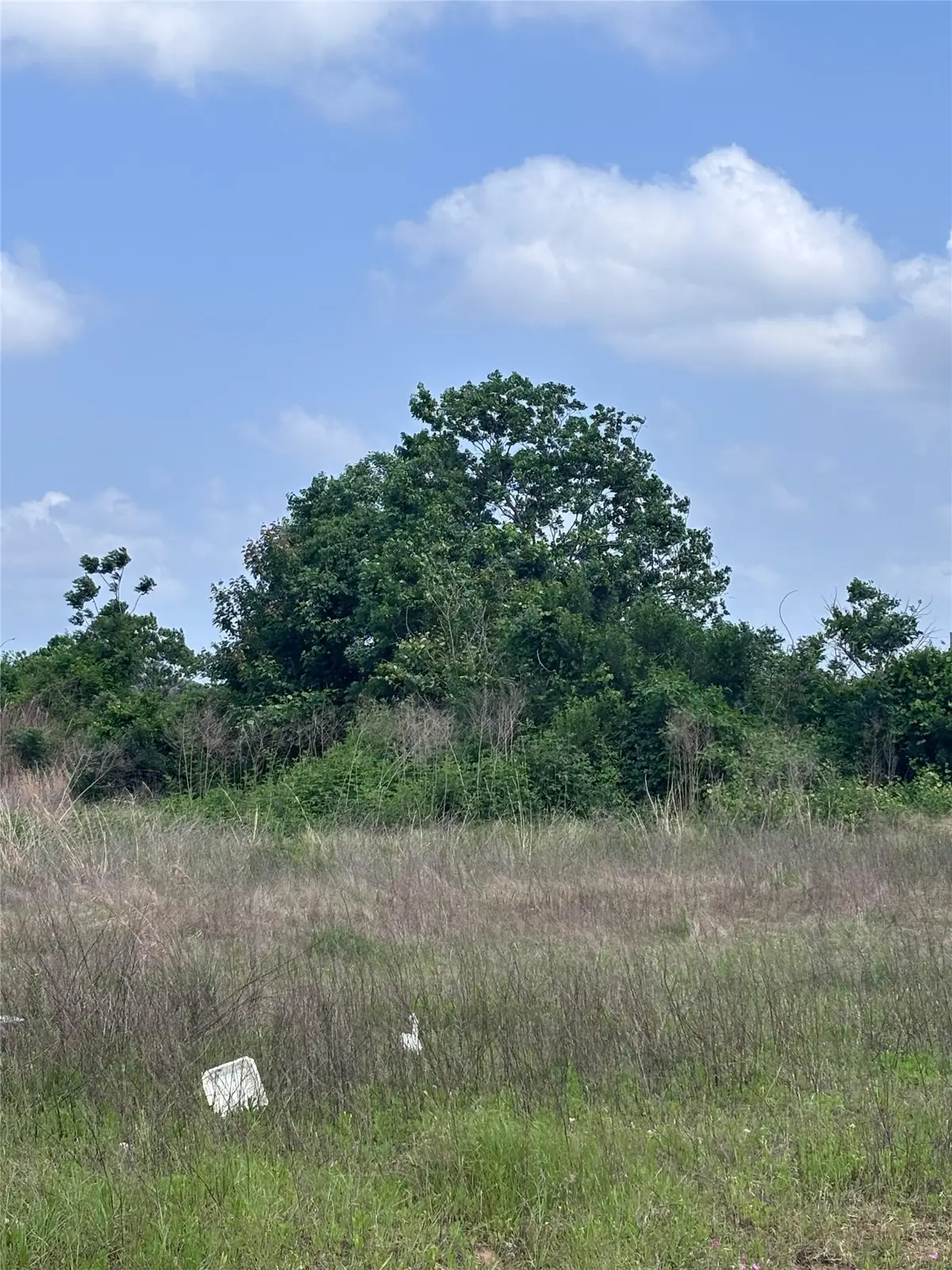 2034 Road 5702, Cleveland, TX 77327 - #1