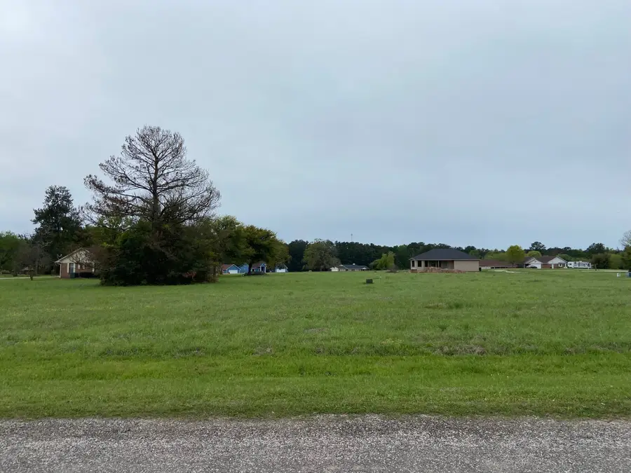 45 Meadowview Drive, Trinity, TX 75862 - Image #3