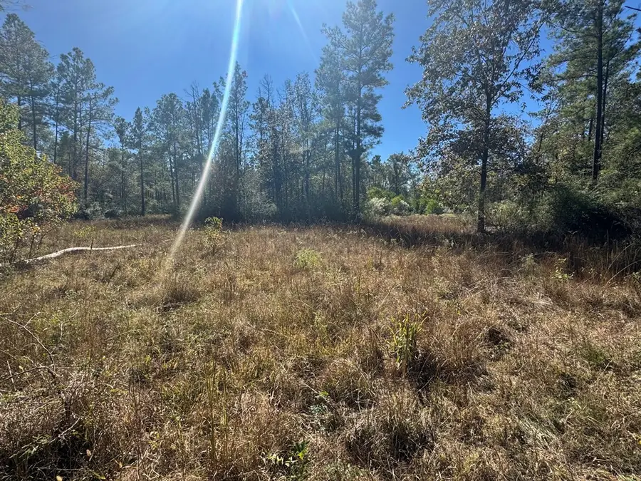 690 Jim Fenley Loop, Lufkin, TX 75901 - #3