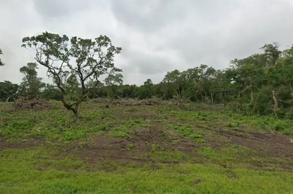 Lot 5 County Road 819, Brazoria, TX 77422