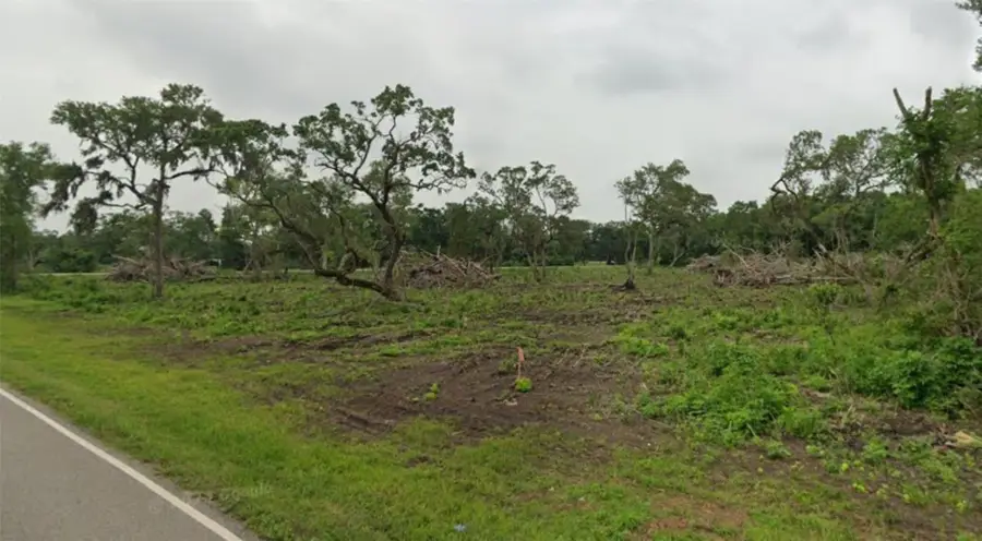 Lot 5 County Road 819, Brazoria, TX 77422 - #3