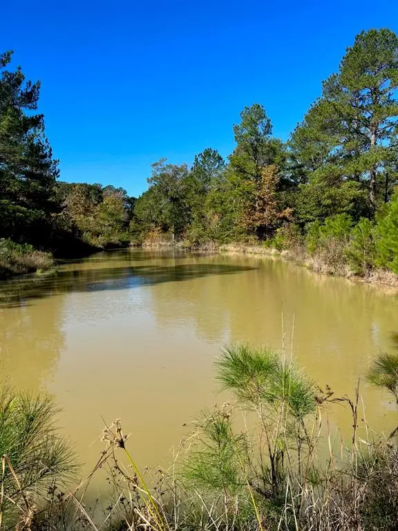 31517 Bohlssen Road, New Caney, TX 77357