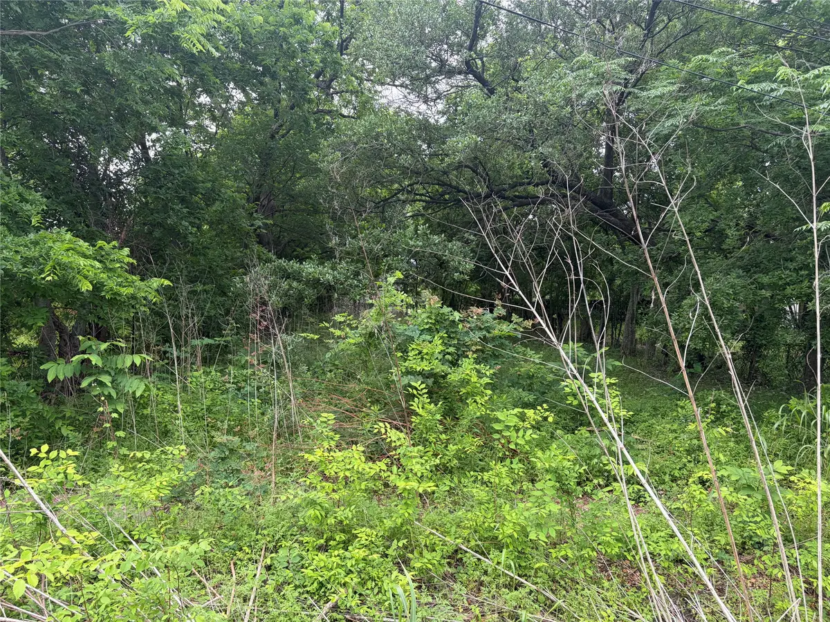 3706 Farmer Street, Houston, TX 77020 - #1