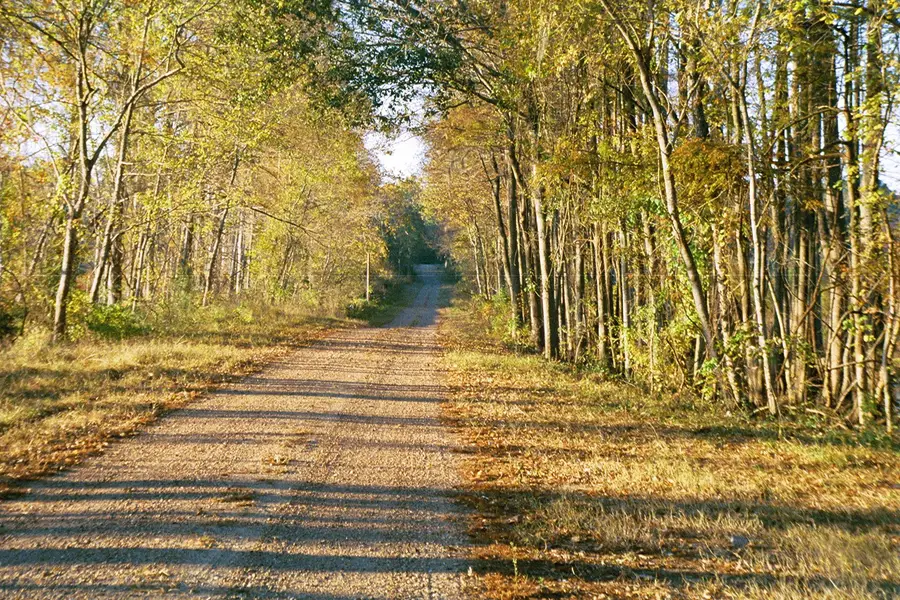 63 N Smith Loop Loop, Cleveland, TX 77327 - Image #3