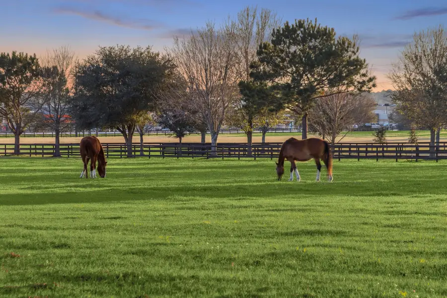 12606 Walther Court, Magnolia, TX 77354 - #3