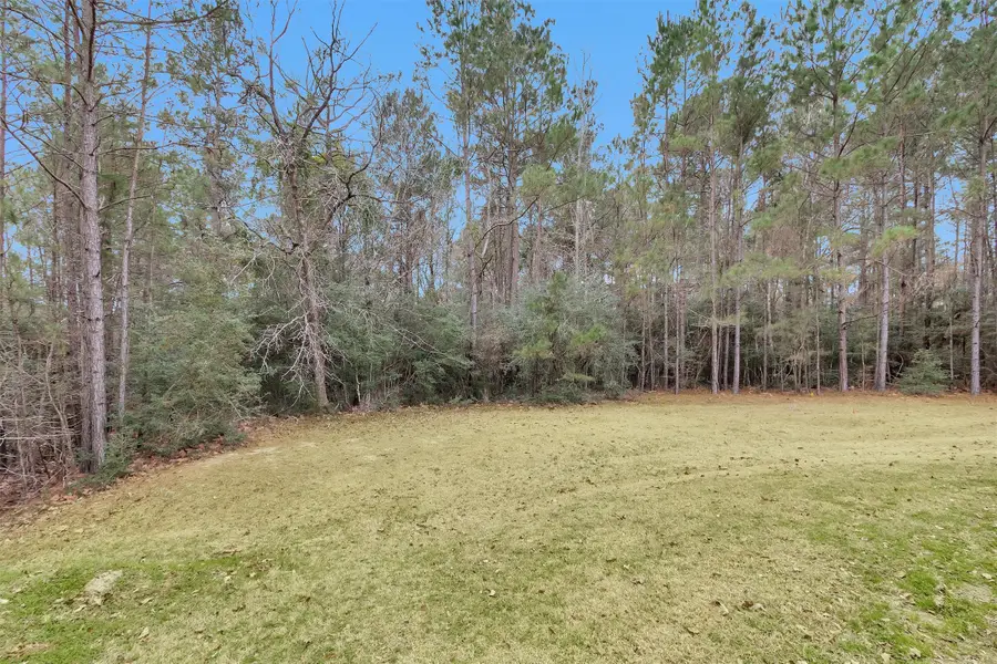 11464 Queensboro Court, Montgomery, TX 77316 - #3