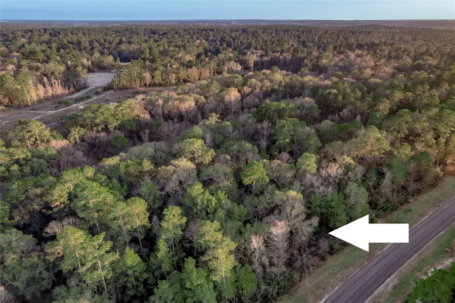 306 Sundog Road, Huntsville, TX 77340 - Image #2