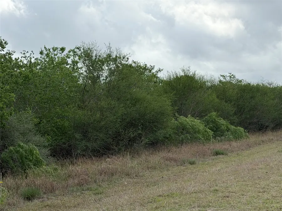 Tract 9 Love Road, Victoria, TX 77904 - #2