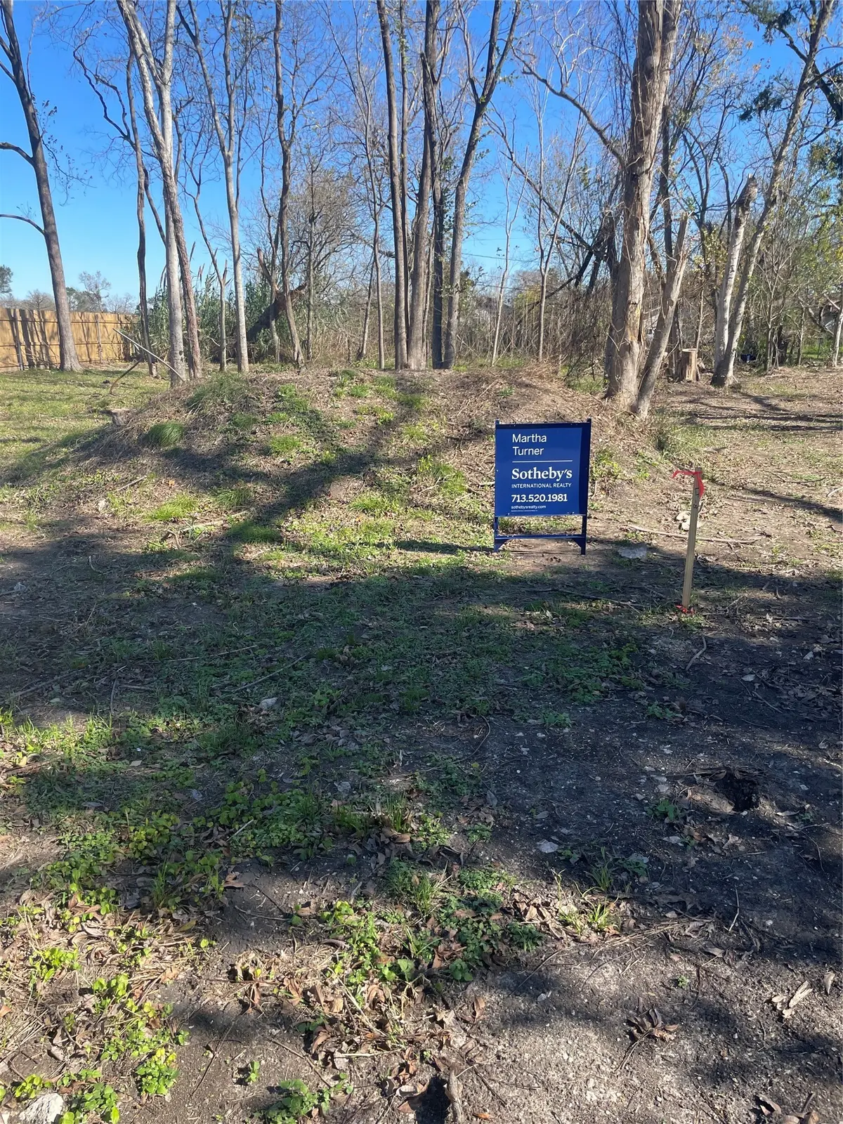 3015 Delia Street, Houston, TX 77026 - #1