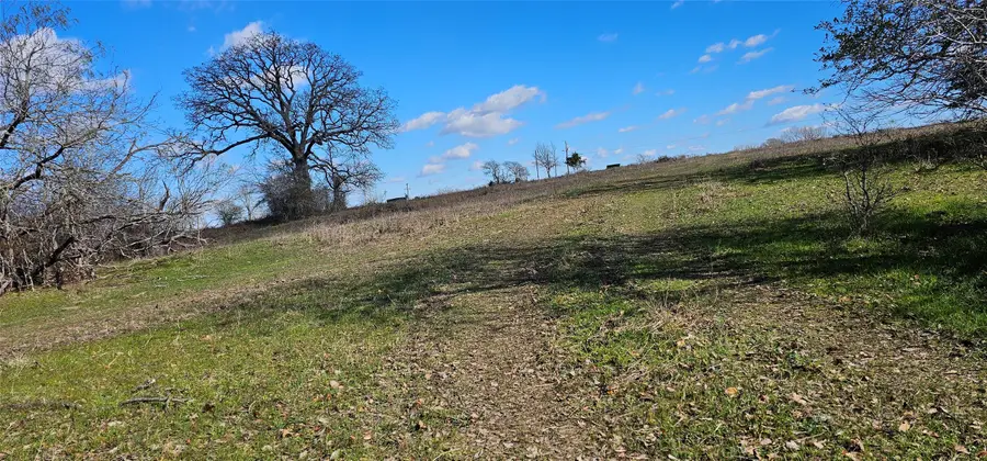 tbd Davis Road, Huntsville, TX 77320 - Image #3