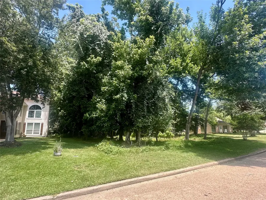 3407 Pebble Beach Boulevard, Montgomery, TX 77356 - #3