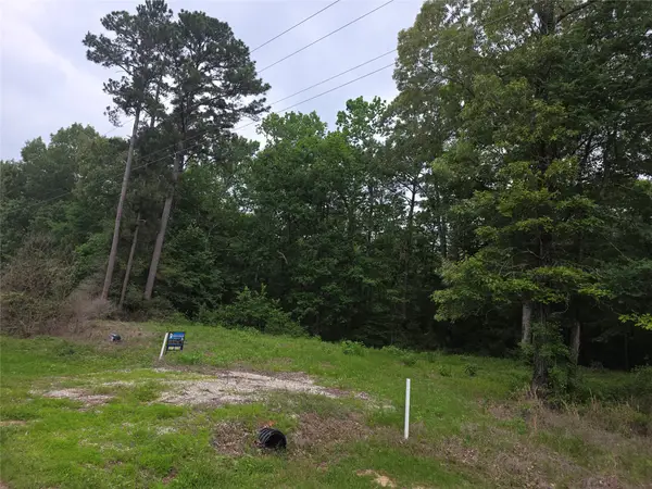 TBD Hidden Oak Drive, Point Blank, TX 77364