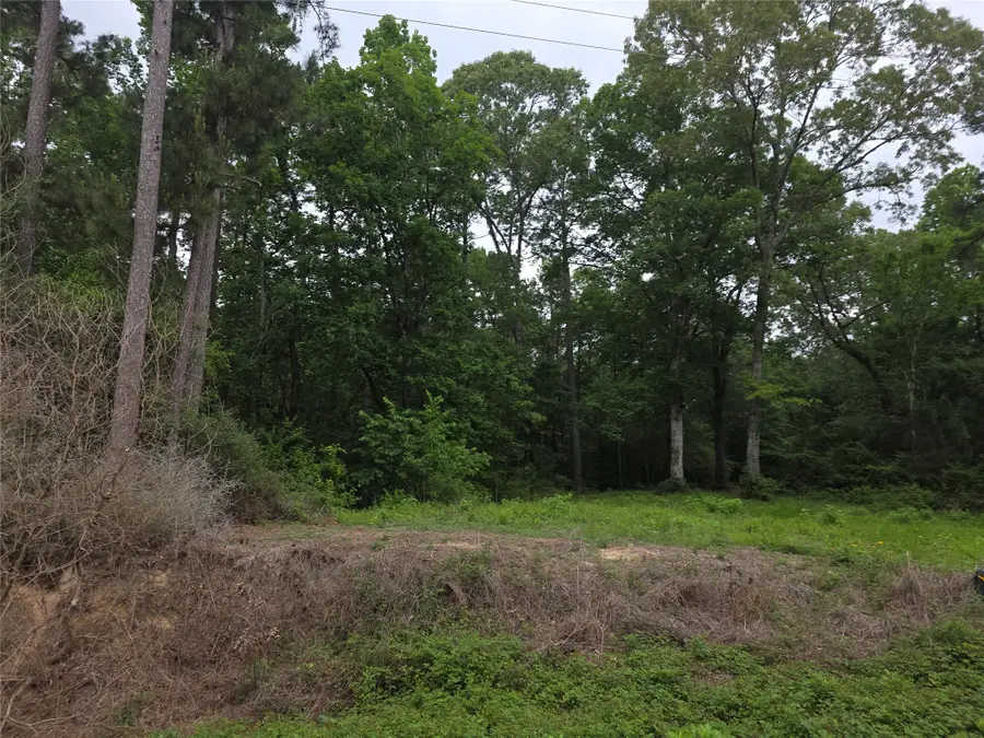 TBD Hidden Oak Drive, Point Blank, TX 77364 - #2