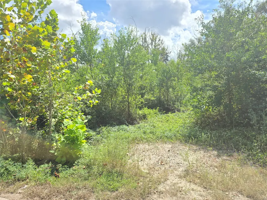 TBD Short Street, Splendora, TX 77372 - Image #2