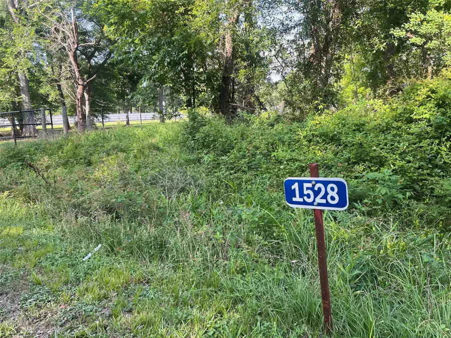 1528 Scroggins Lane, Waller, TX 77484 - #2