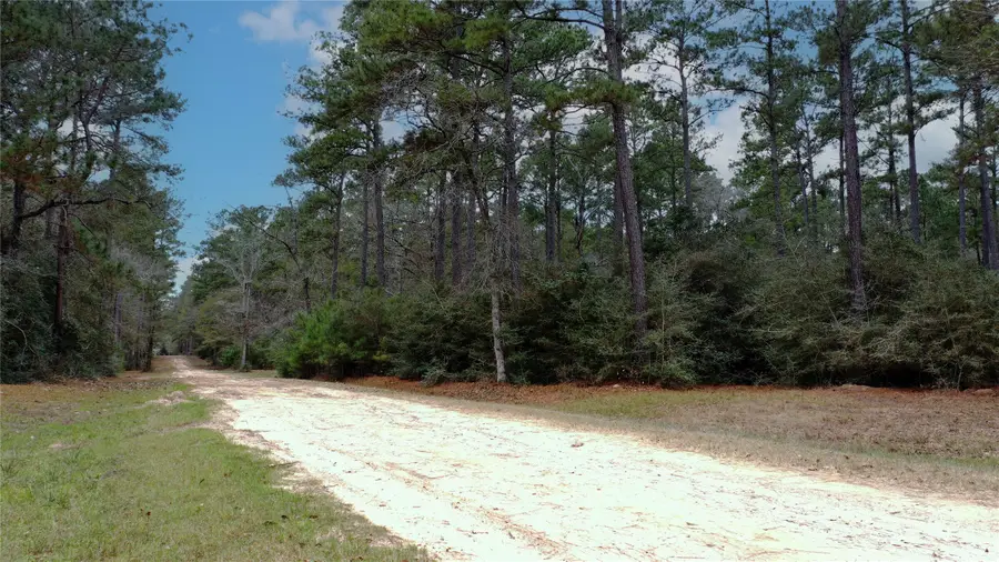 TBD Lone Star Road, Navasota, TX 77868 - #2