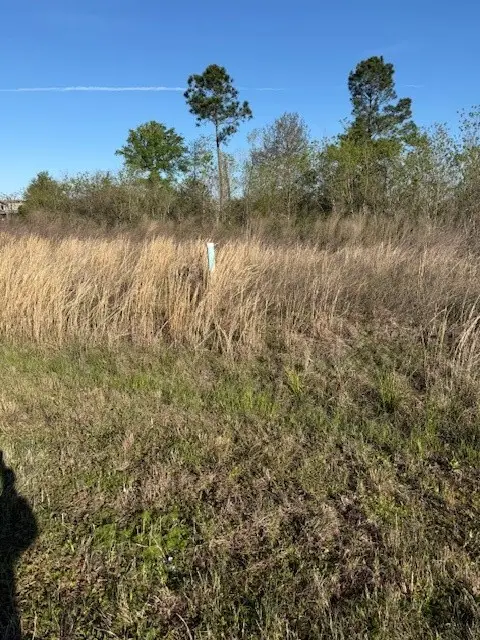 661 Road 5816, Cleveland, TX 77327 - #1