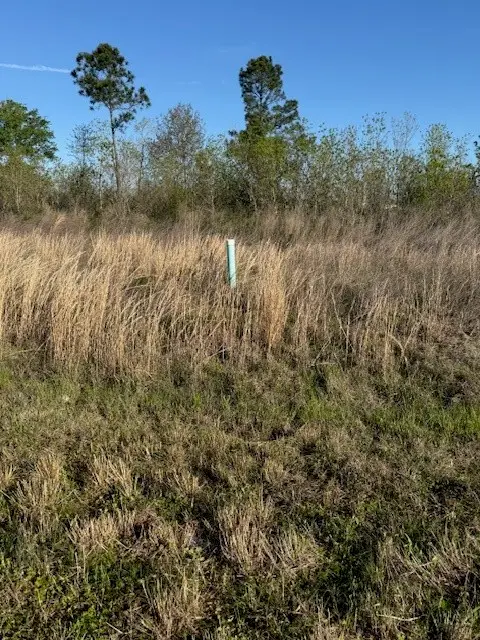 661 Road 5816, Cleveland, TX 77327 - #2