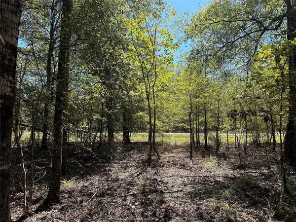 TBD Somerset Trail Road, Point Blank, TX 77364