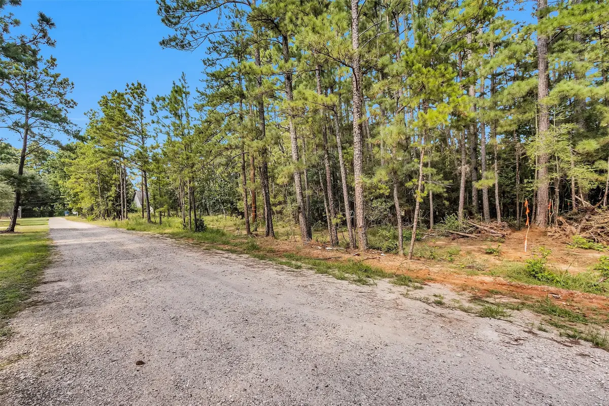 1503 Cheyenne Loop, Montgomery, TX 77316 - #1