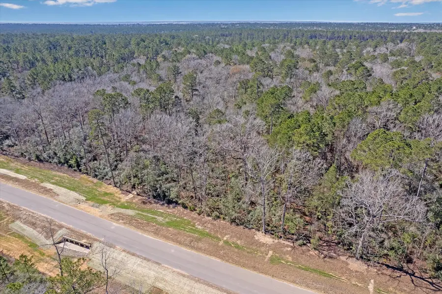 16169 Ridge Oak Dr, Willis, TX 77378 - #3