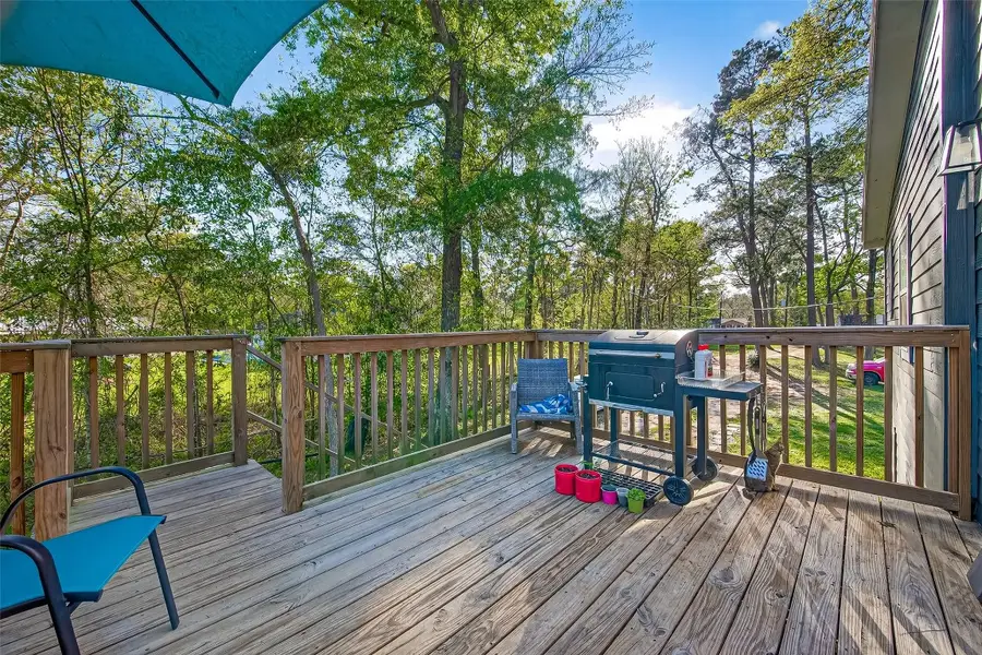 31718 Debbi Lane, Magnolia, TX 77355 - #2