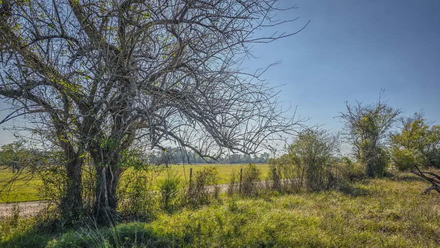 TBD (LOT 1) Podraza Road, New Waverly, TX 77358 - #2