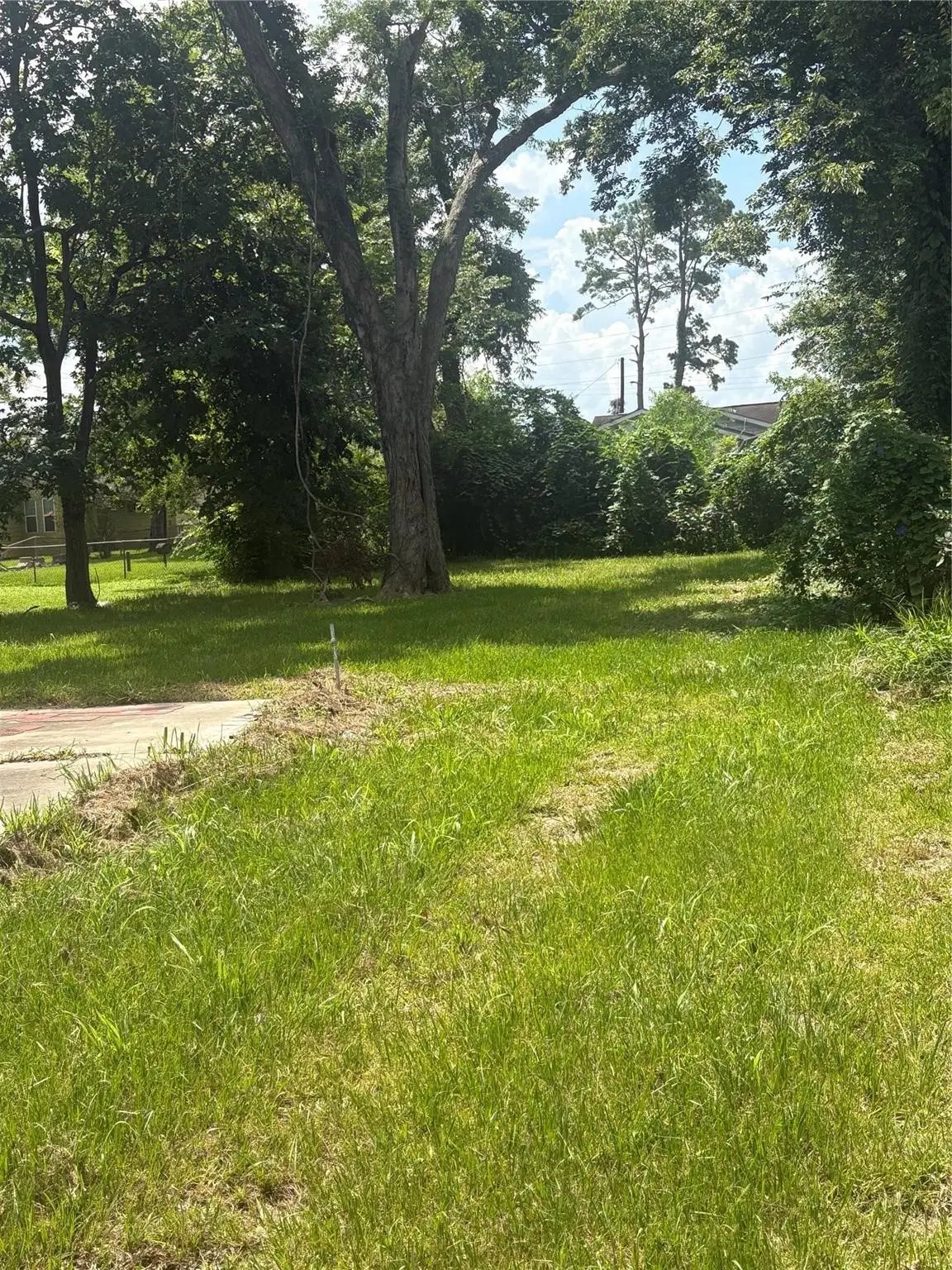 2031 Delaware Street, Beaumont, TX 77703 - #1