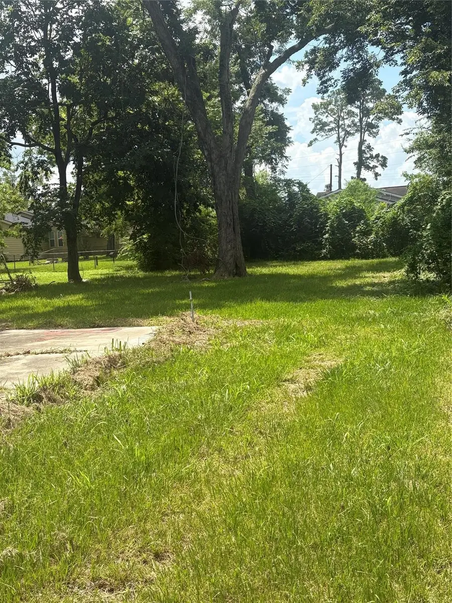 2031 Delaware Street, Beaumont, TX 77703 - #3