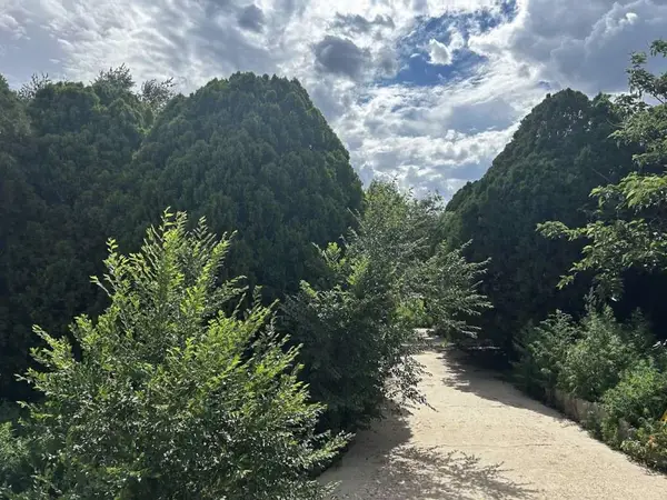 1207 N Tyler Street, Amarillo, TX 79107